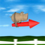 pig on the rocket